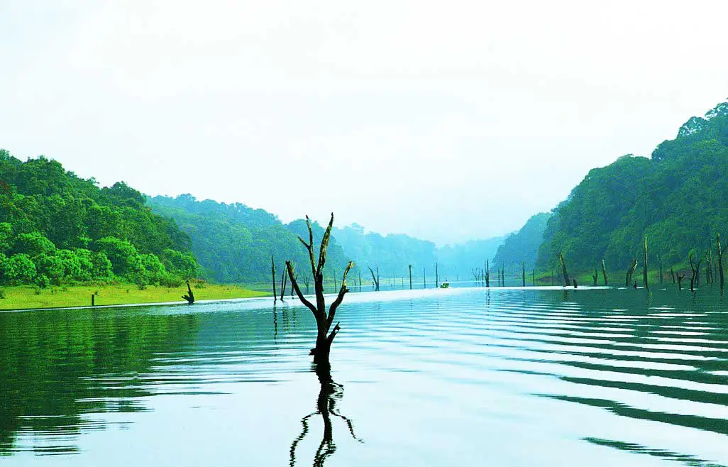 Thekkady Cochin 4days Packages